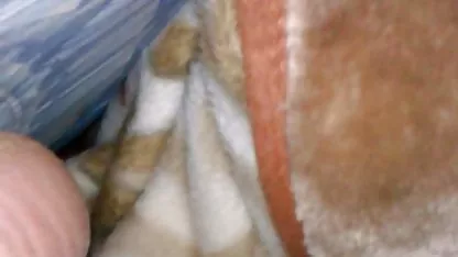 پورنو ورزش, نوجوانان تازه کار, سوپر فیلم سکسی دادن سر گرم